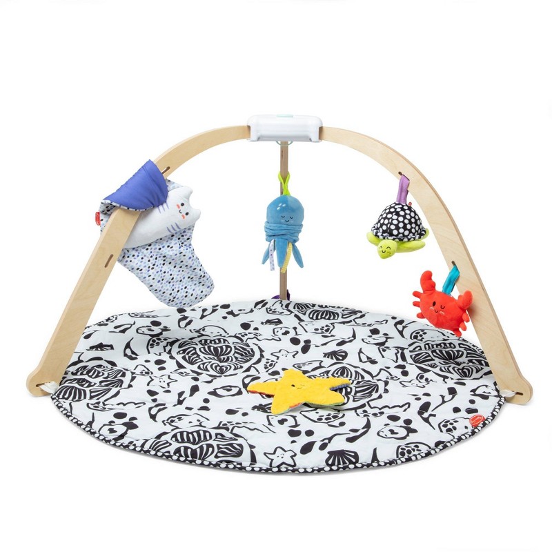 Melissa and Doug Ocean Easy-Fold wooden play gym with ocean mat